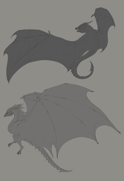 Dragon Sketches