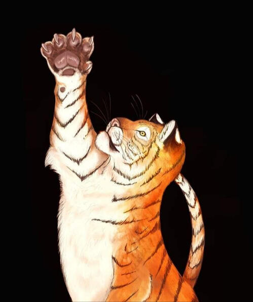 Reaching Tiger Reaching Tiger